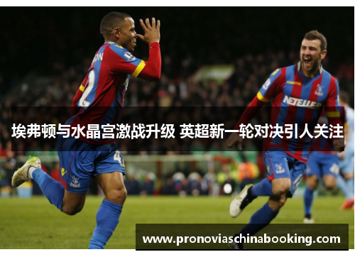 埃弗顿与水晶宫激战升级 英超新一轮对决引人关注