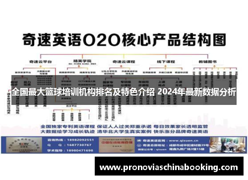 全国最大篮球培训机构排名及特色介绍 2024年最新数据分析